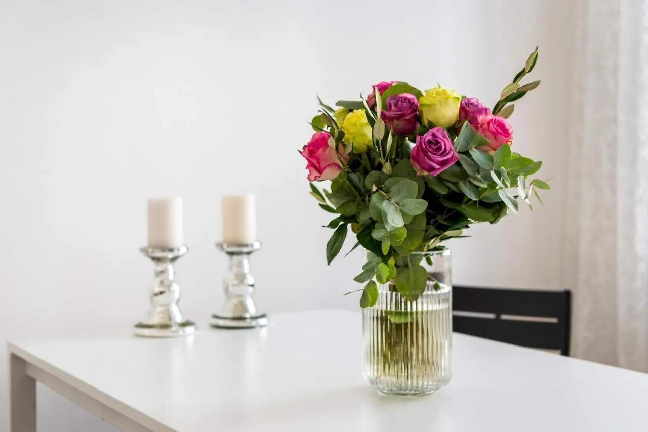 A&S Center Apartment Viena Austria